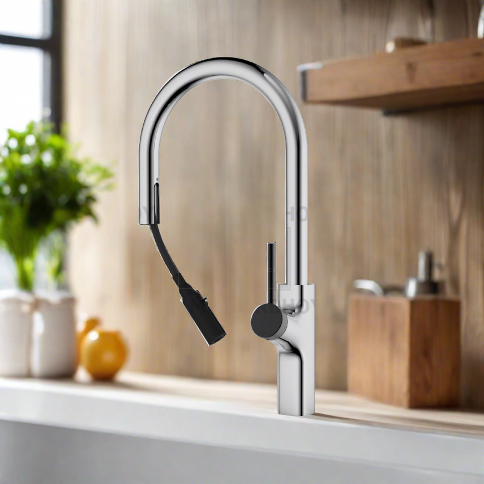 Frascio Faucet Single Lever Pullout Sink Mixer Tap - FRA1059068