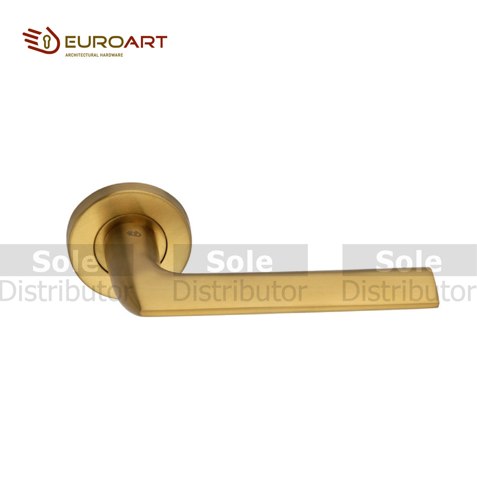 EuroArt Investment Cast Solid SS & Escutheons and  Satin Brass Pvd Design Shaped Lever Handle Pair – LRS219