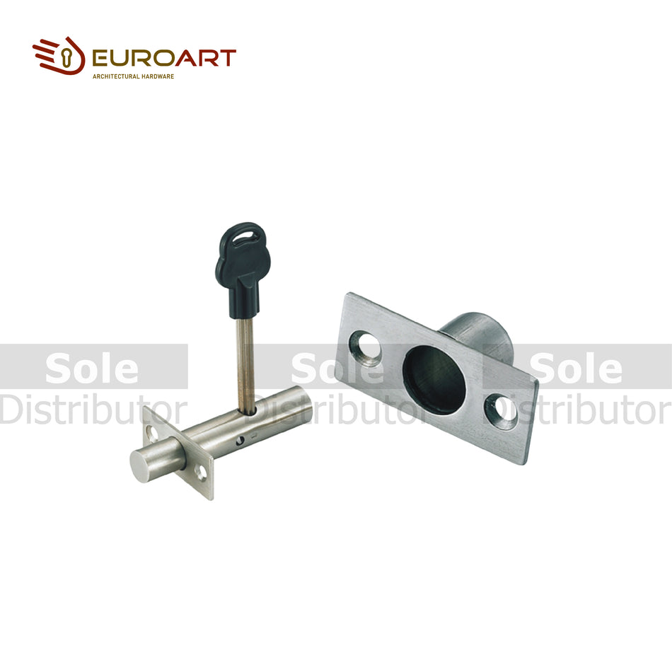 EuroArt Hex Key Security Bolt - DSB460SSS