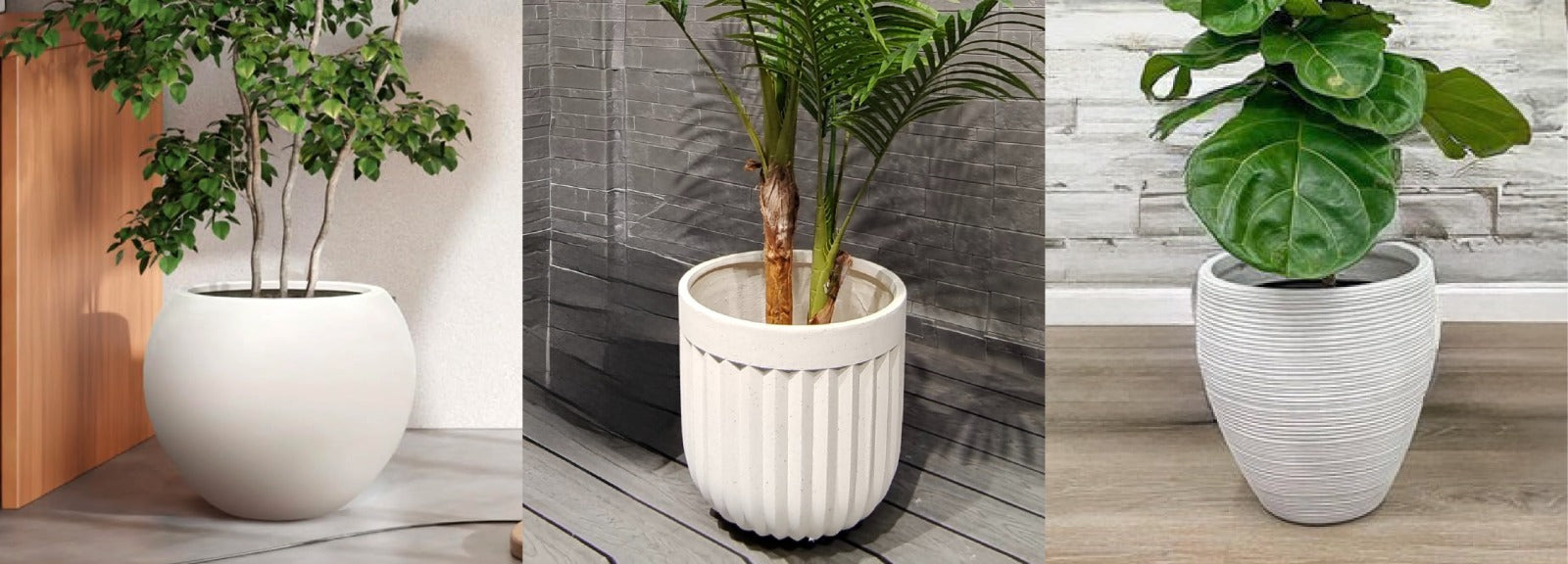 Flower Pots