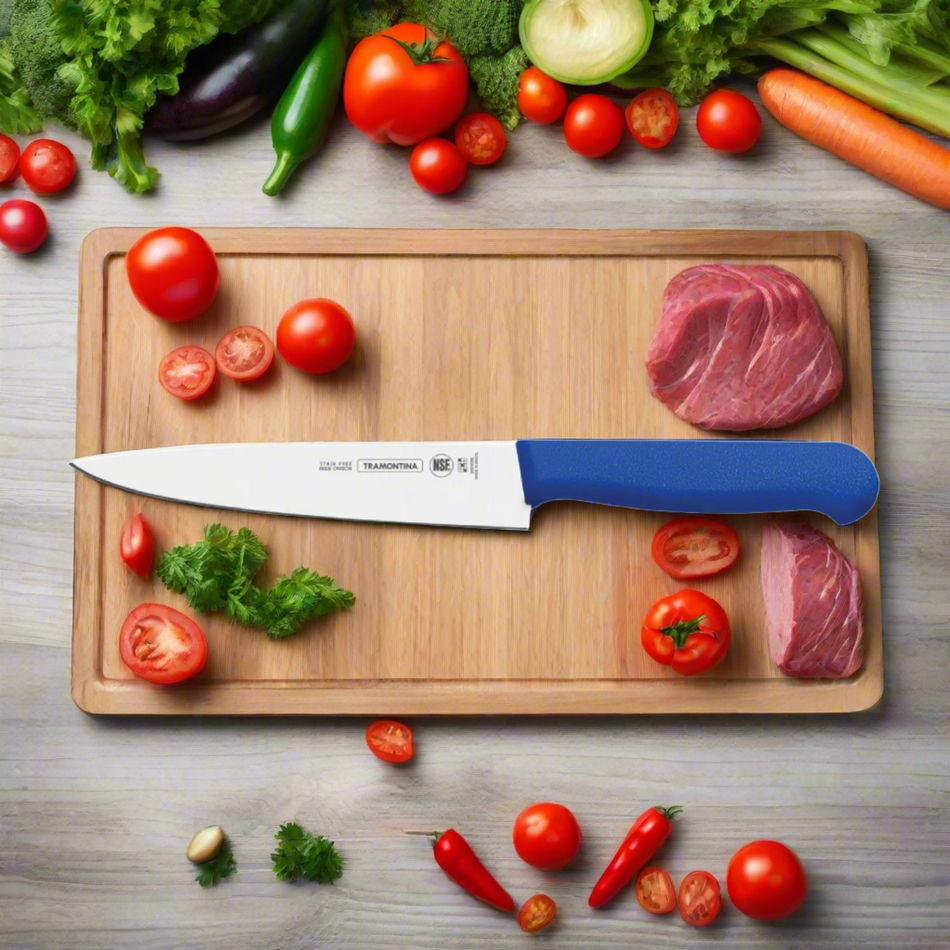 Fireworks Tramontina Meat Knife 10 Inches Blue Colour - 246200110