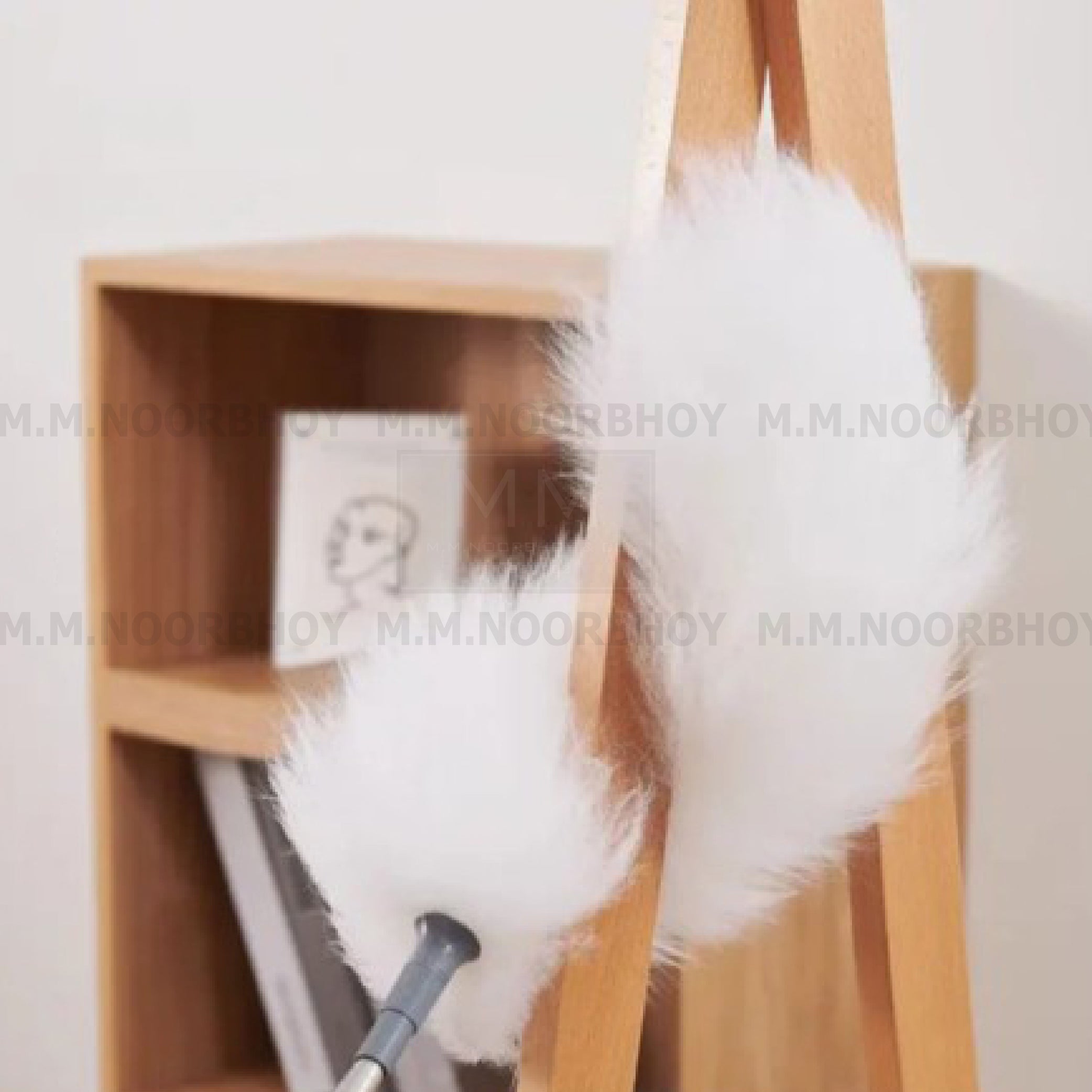 Telescopic Dust Collector