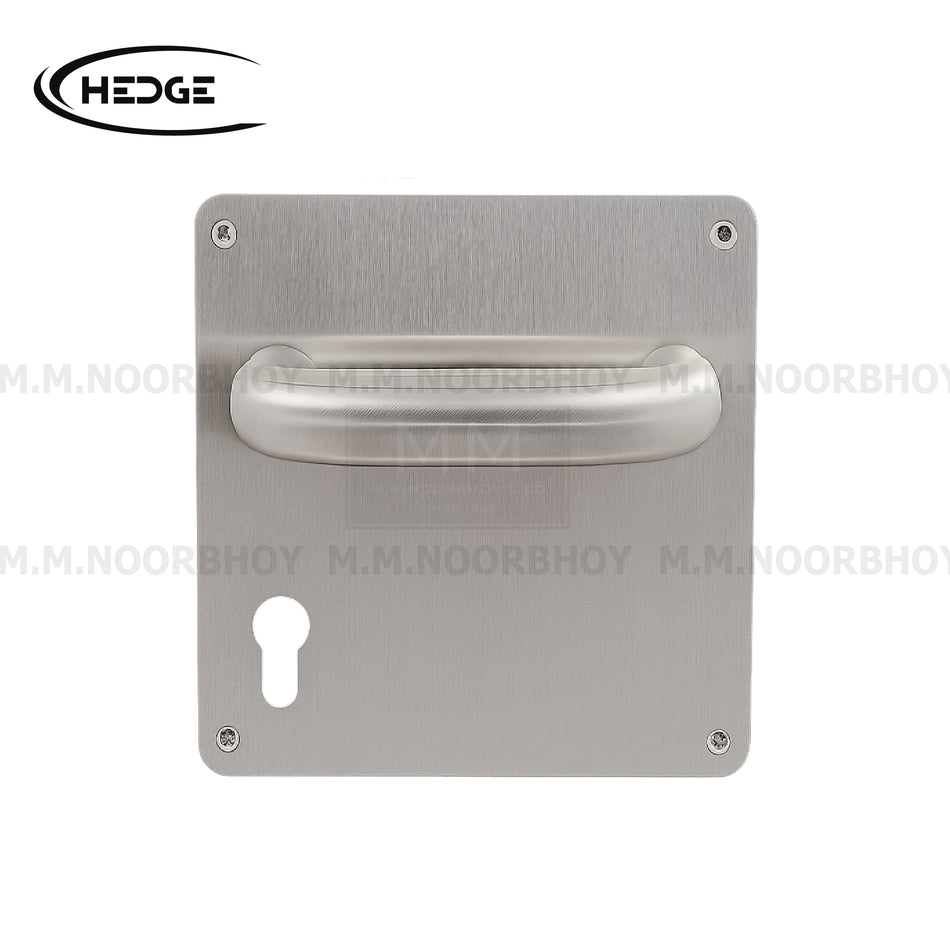 Hedge Hollow Handle on a Back Plate Material SS304- SS Finish - Pair - HE/HAN/SS/LH1009