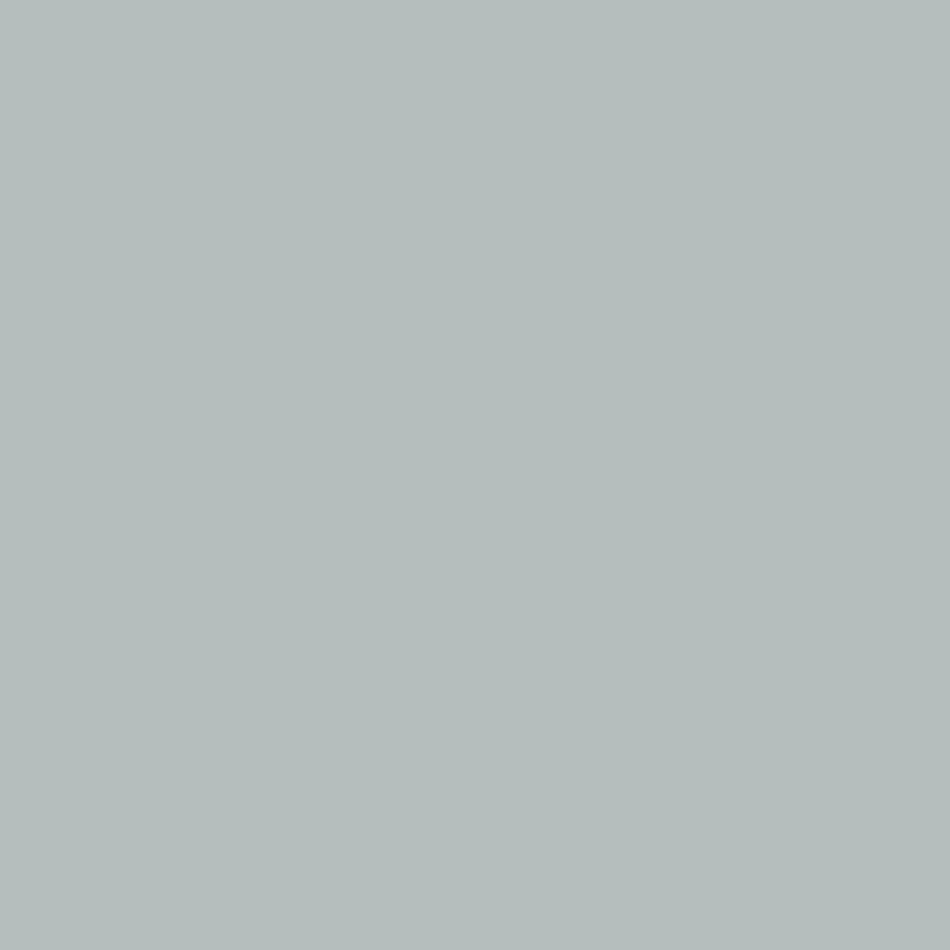 Prelam MFC Board 8x6 Feet E1 Grade Double Side Silver Grey Color - PLMFCC005