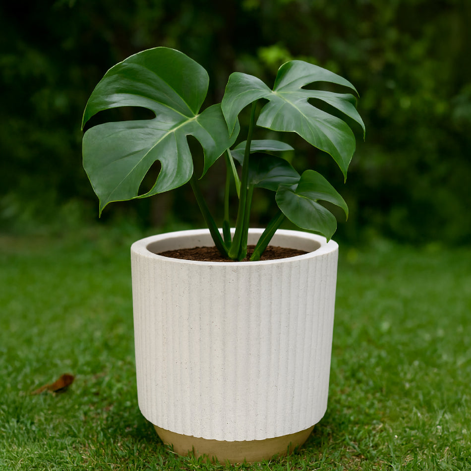 Mcoco Flower Pot for Indoor and Outdoor  - MCO/PP/WHT/C563