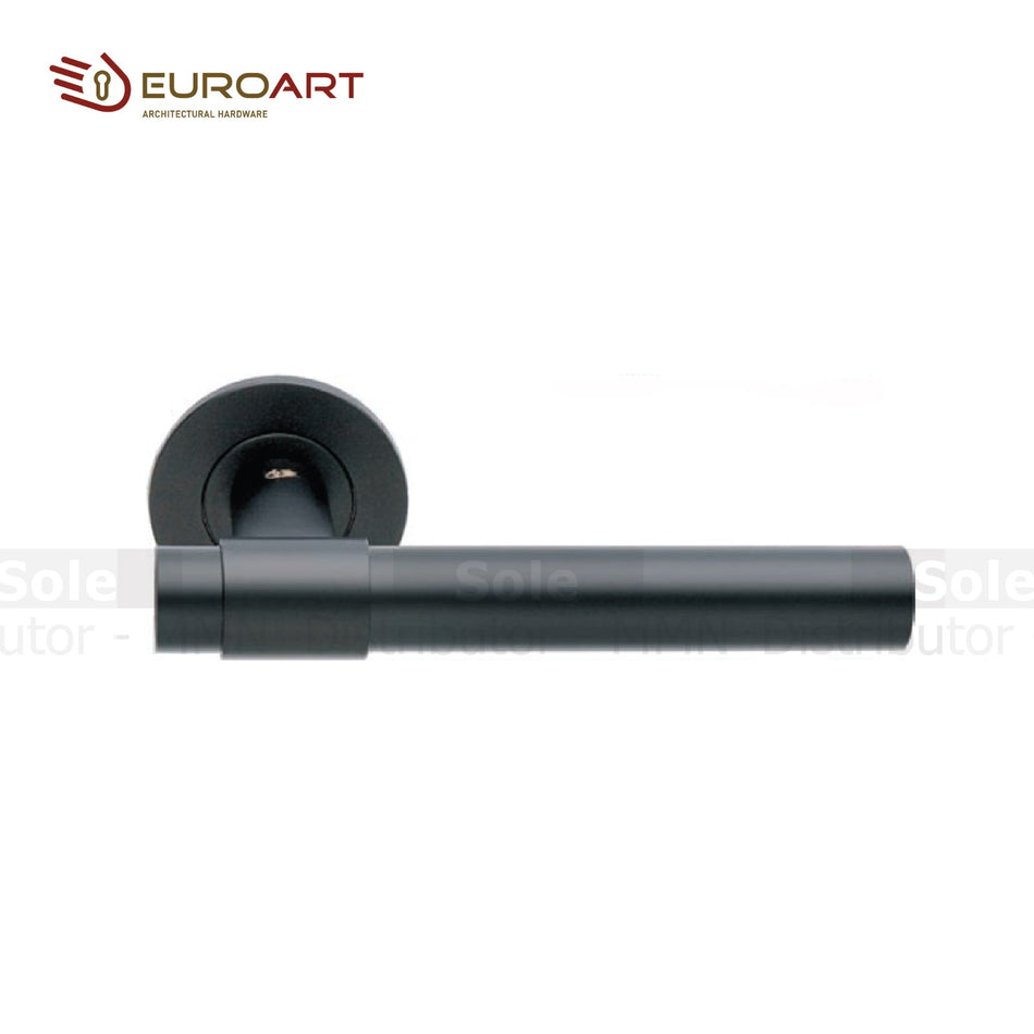 EuroArt Lever Handle on Concealed 4mm Bearing Rose Pair - EURO/LH/BLPVD/LRS955