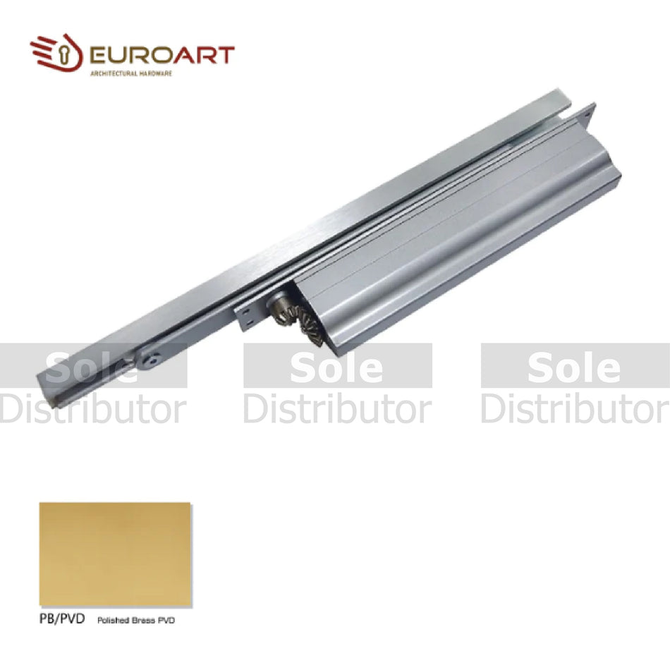 EuroArt Concealed Cam Action Door Closer , 130Kg , Polished Brass Finish - DC8025BC/PB/PVD/HO