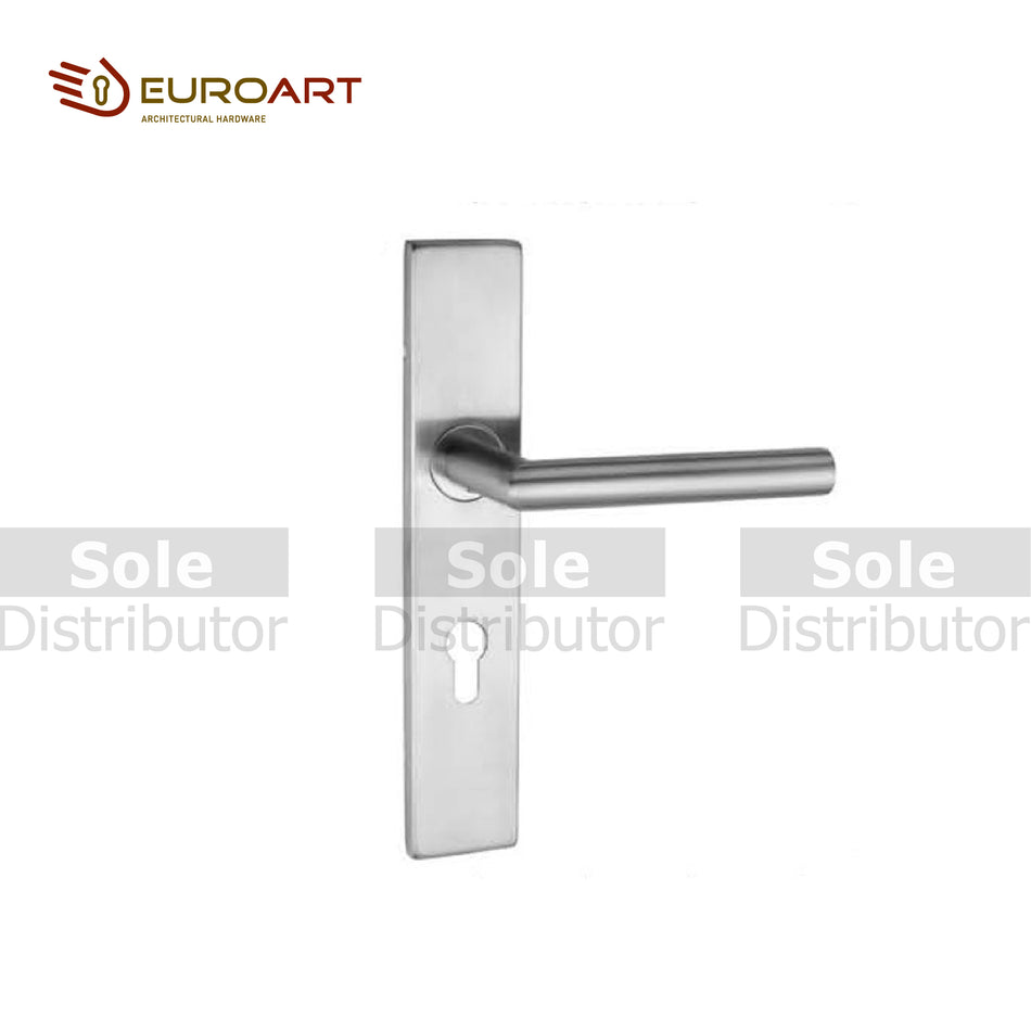 EuroArt SS 10inch Main Door Hollow Lever Handle on Stainless Steel Plate Only - LBS709SSS