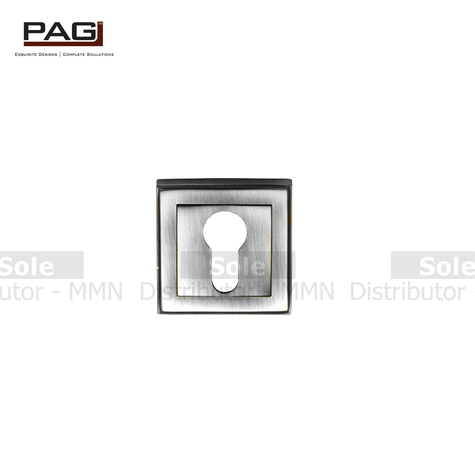 Pag Keyhole Square Zinc Antique Brass & Stainless Steel Finish - KHS