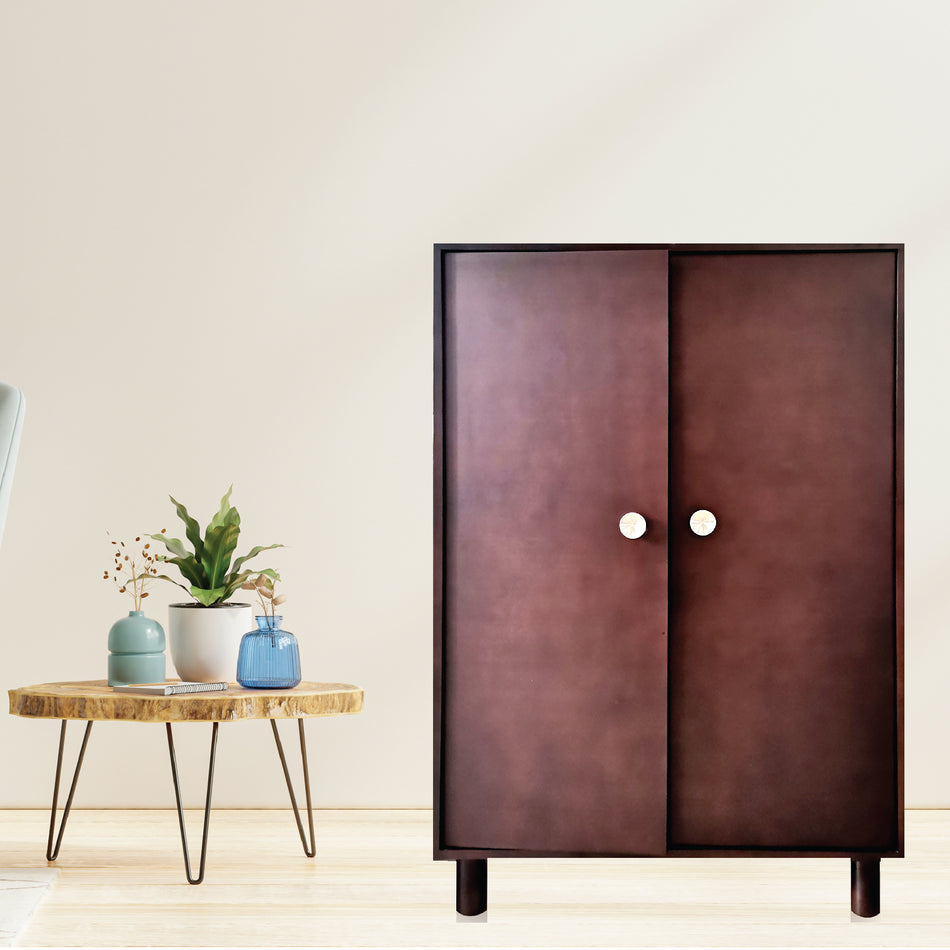 DecoFurniture Two Door Cabinet - DFTDC